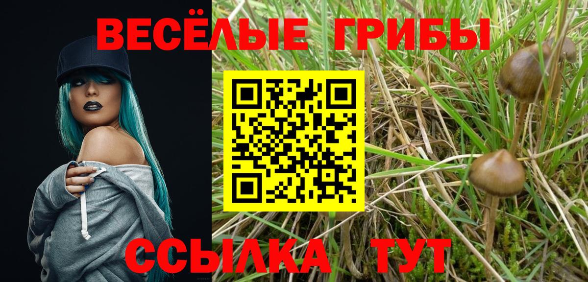Псилоцибиновые грибы мицелий Борзя