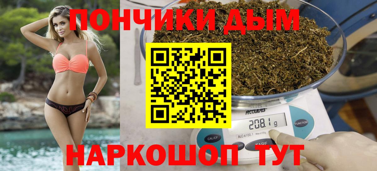 Бошки марихуана марихуана Борзя